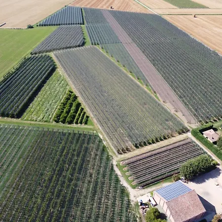 Fondo Novelle La Casina *