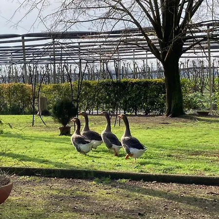 Feriehus Fondo Novelle La Casina Ferrara