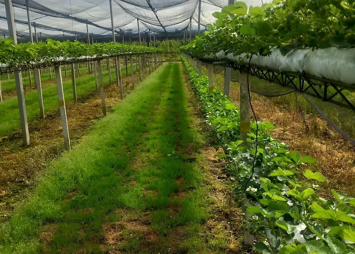 Feriehus Fondo Novelle La Casina *